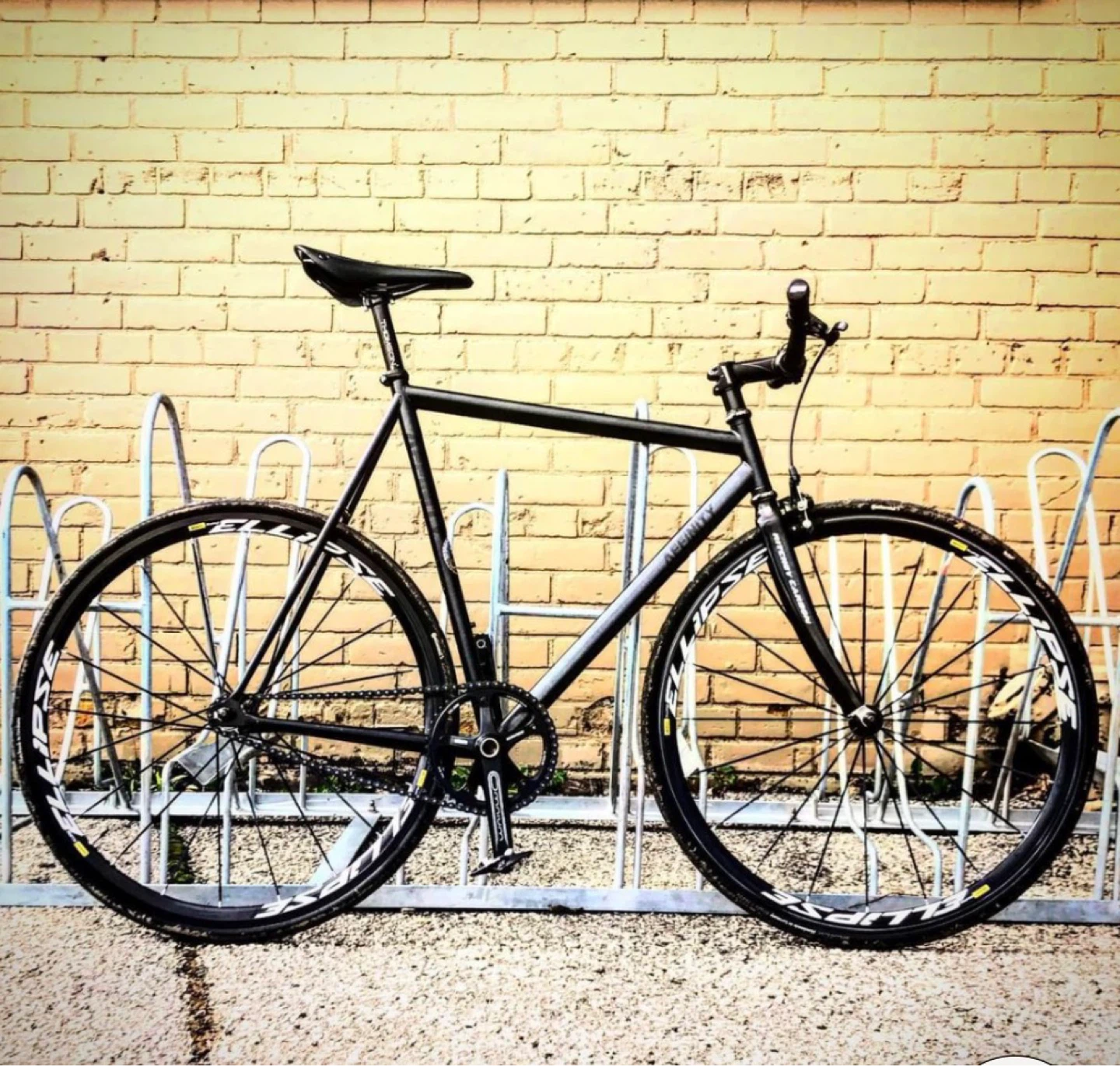 2019 Affinity Lo Pro Fixed Track/Fixed Gear