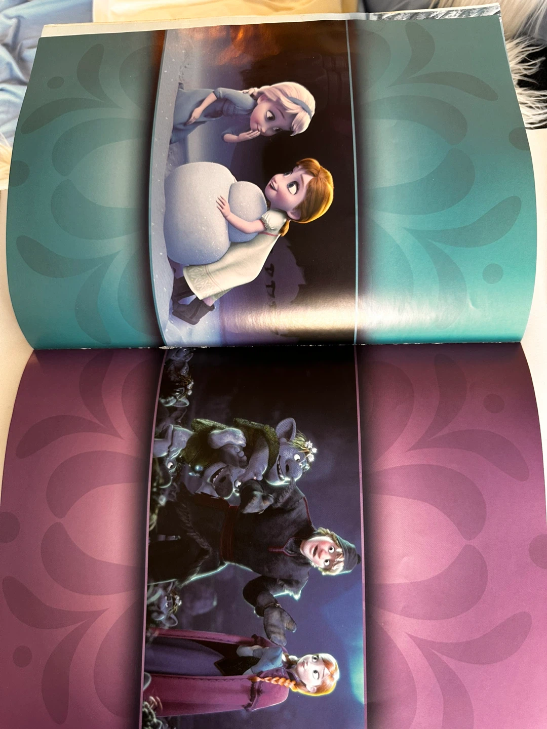 FROZEN BOOK - photo 4