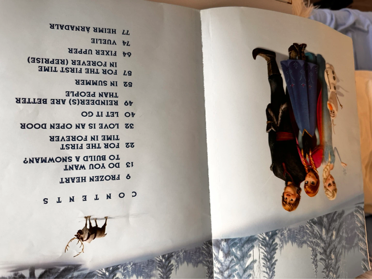 FROZEN BOOK - photo 5