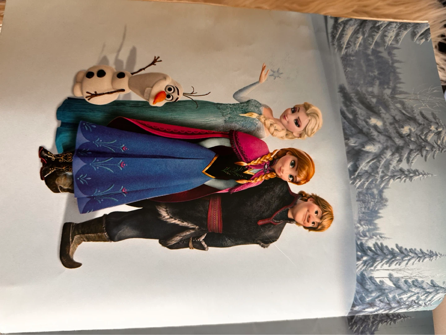 FROZEN BOOK - photo 2