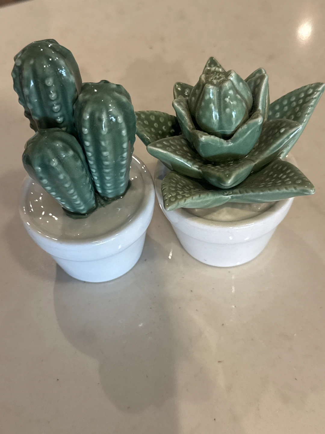 Ceramic Cactus Succulent Plant Decor