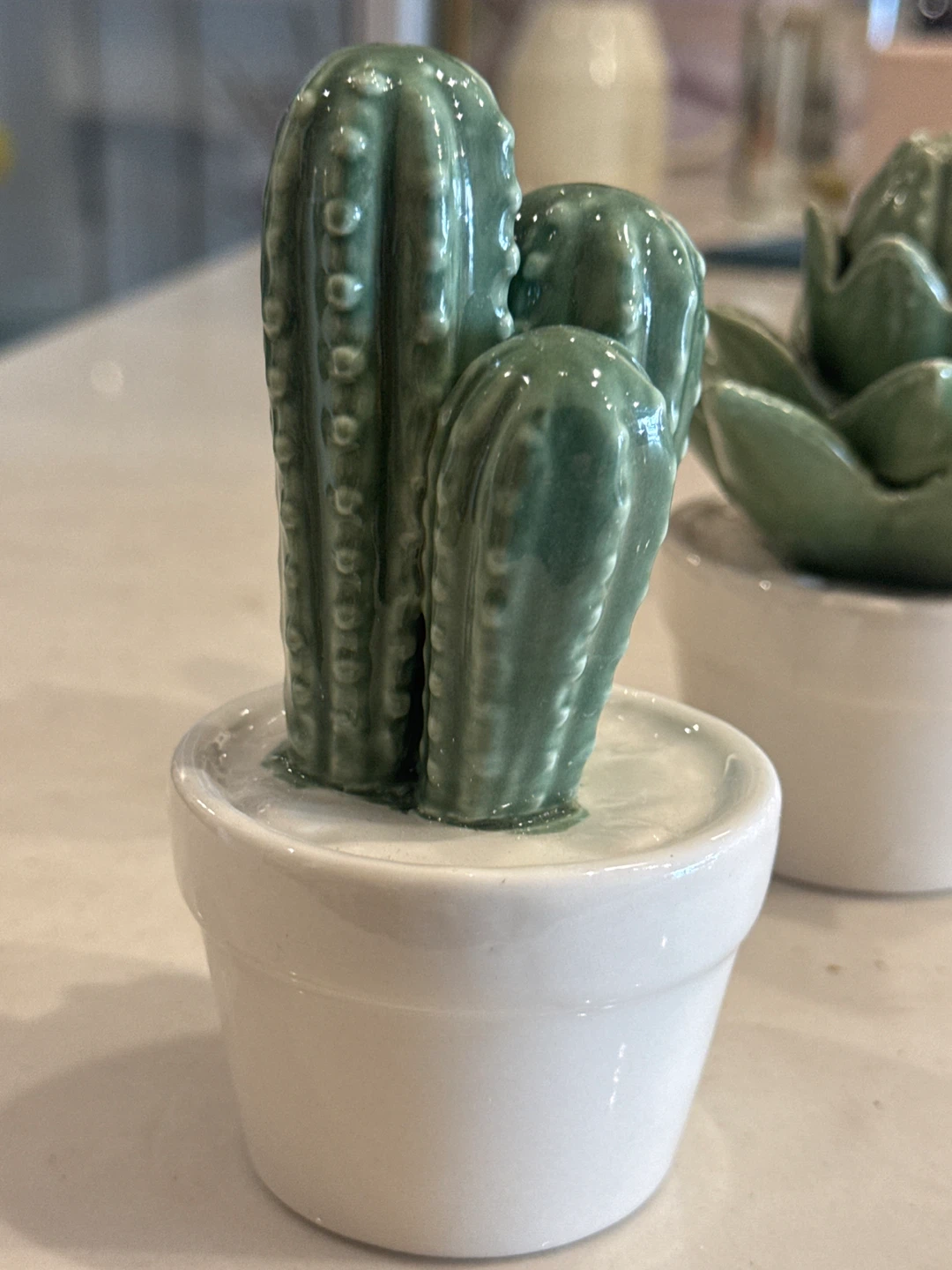 Ceramic Cactus Succulent Plant Decor - photo 2