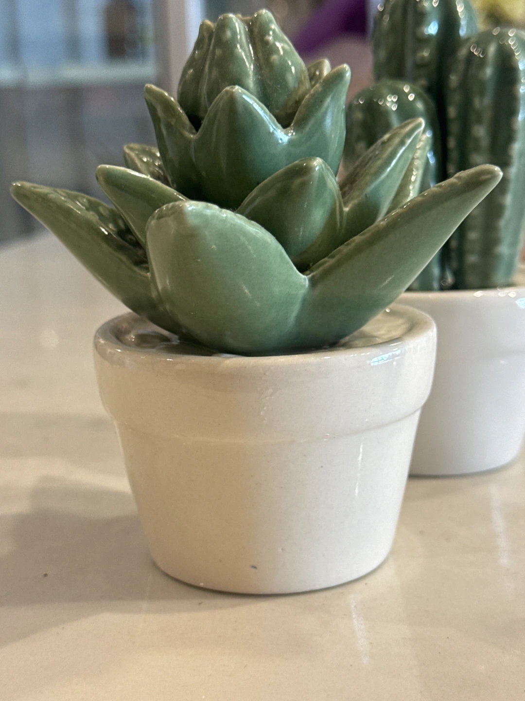 Ceramic Cactus Succulent Plant Decor - photo 3