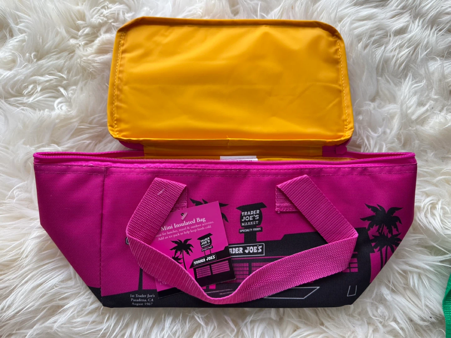 Trader Joe's Mini Insulated Picnic Bag