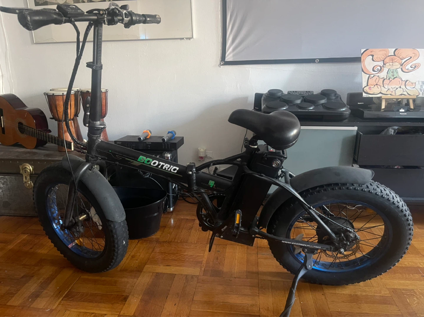 Ecotric Electric Bike