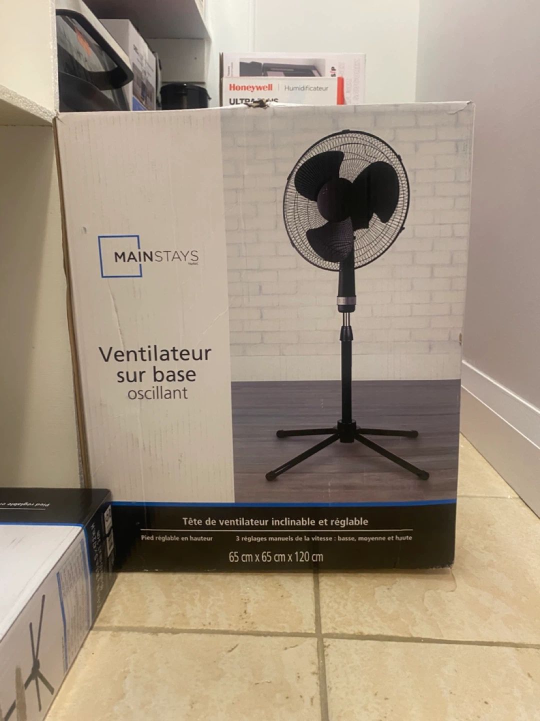 Standing Fan
