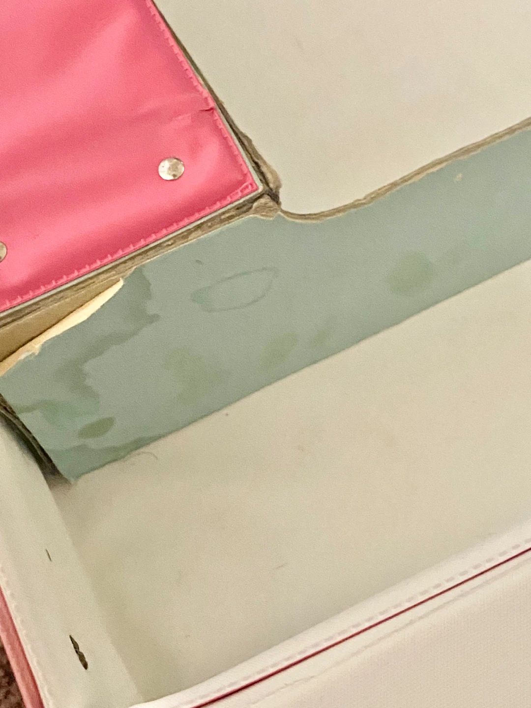 Vintage Barbie Double Doll Case - photo 5