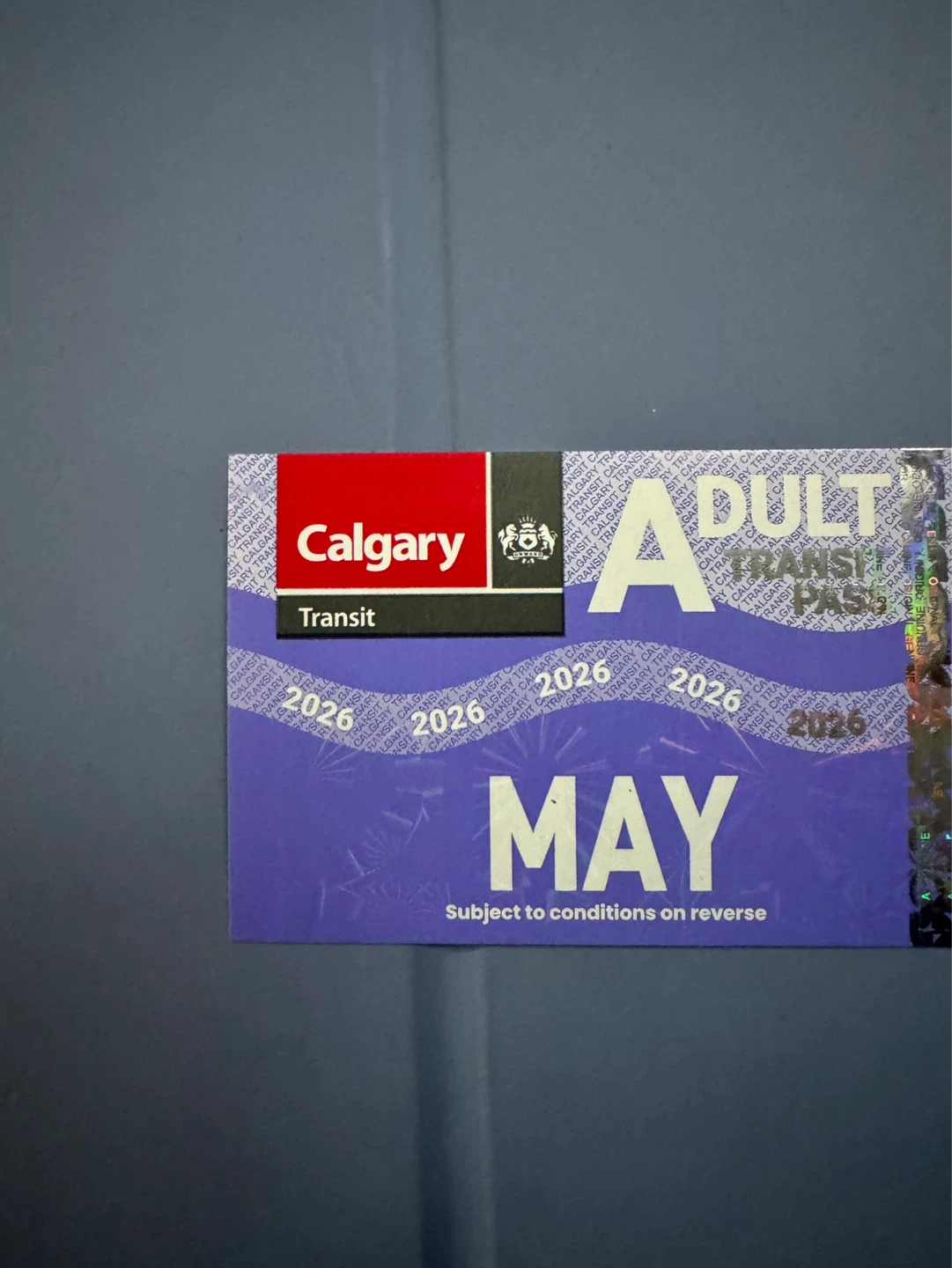 Adult may bus pass