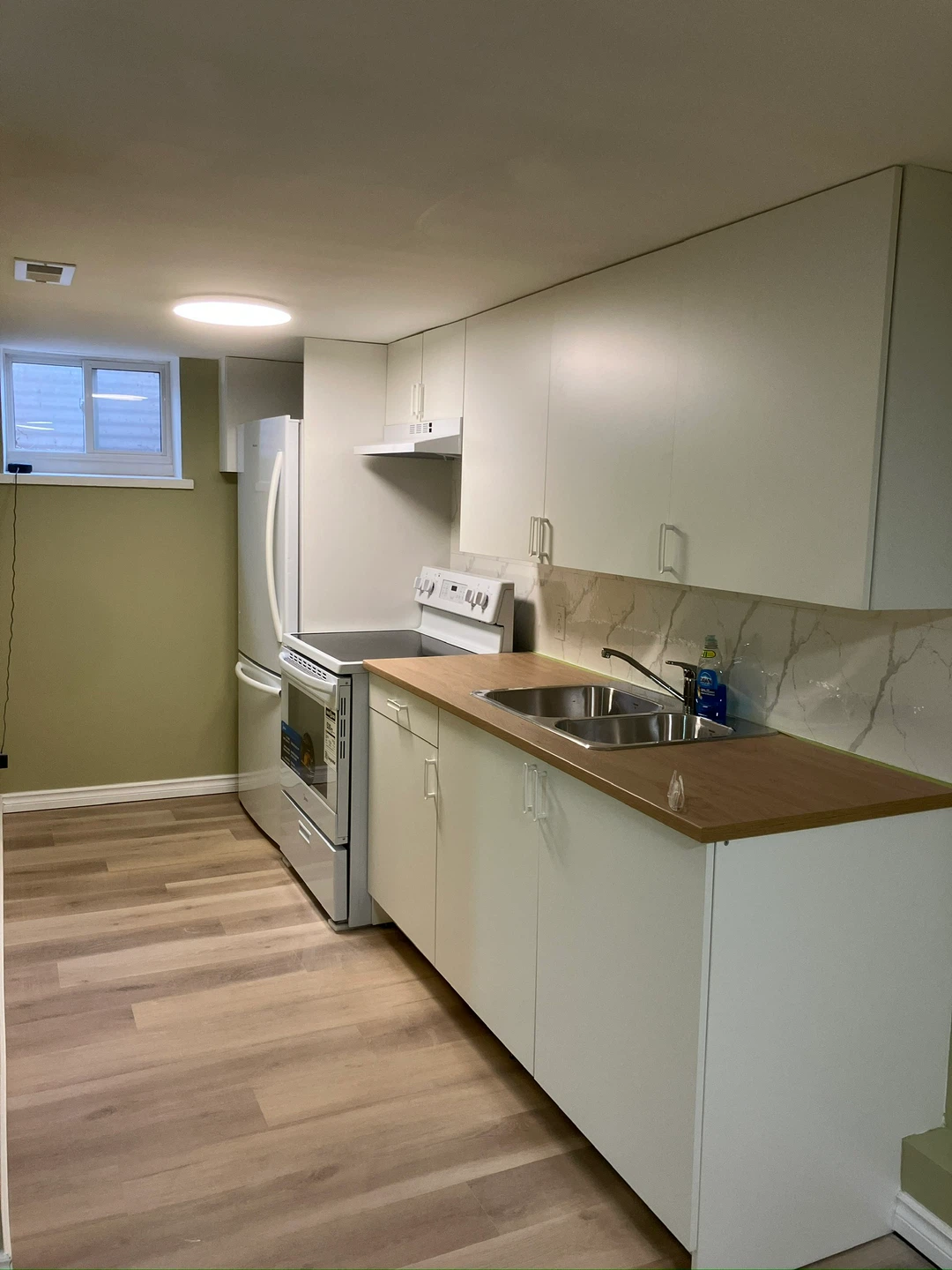 Newly Renovated Basement Apartment - photo 4