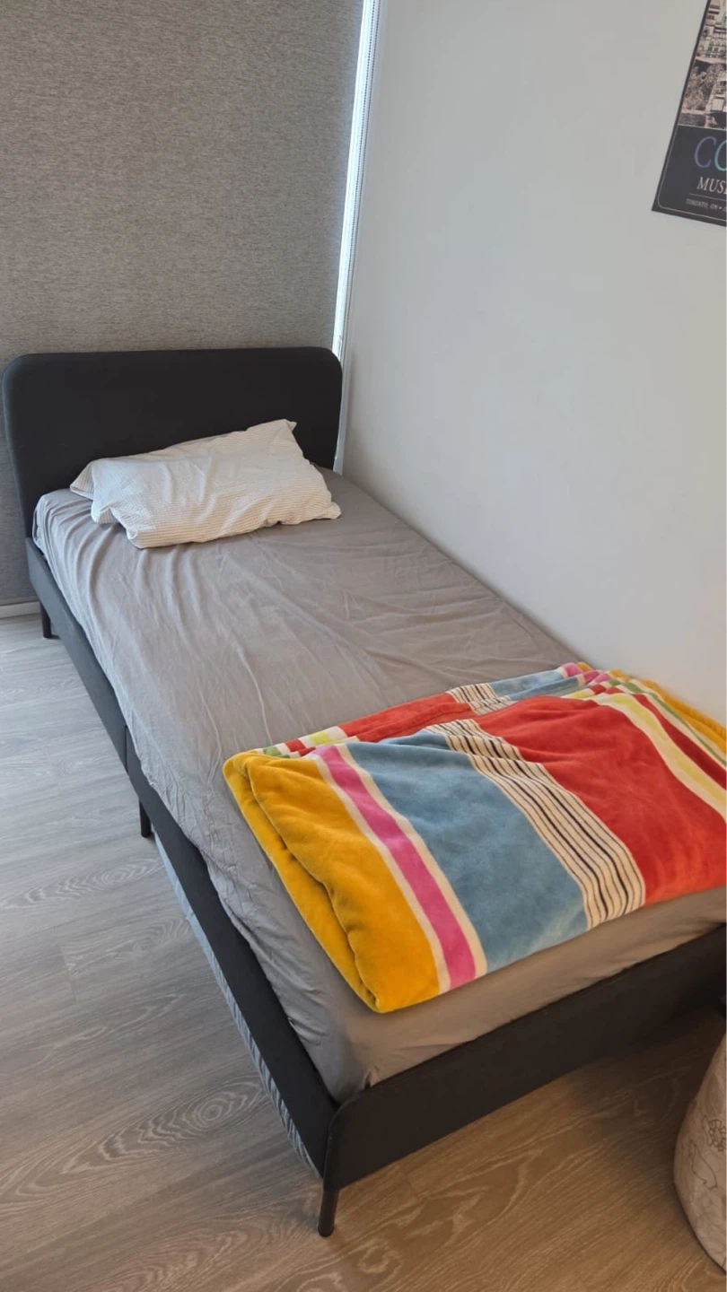 IKEA SLATTUM Bed Frame - twin (mattress optionally inc. free)