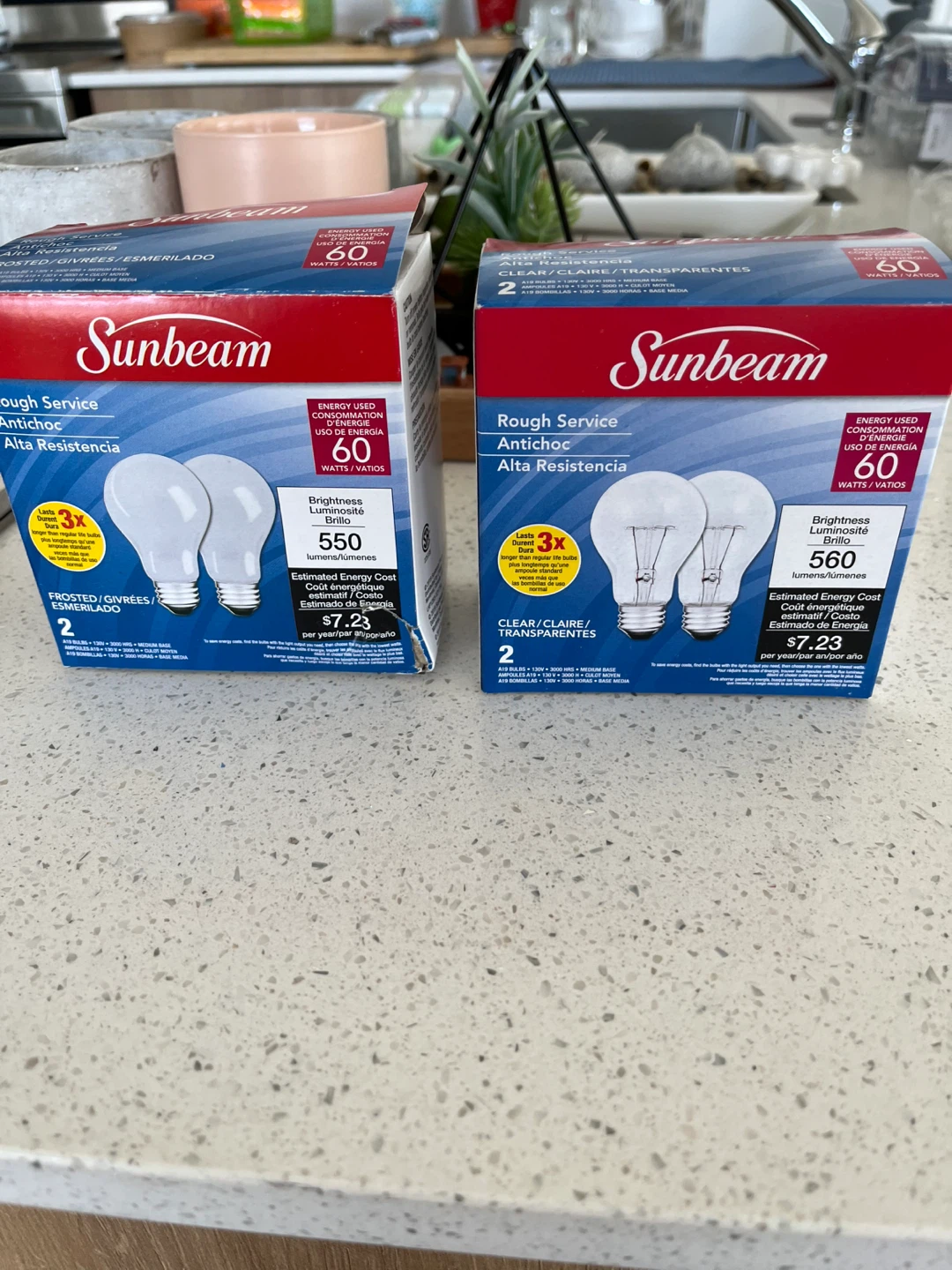 Sunbeam Rough Service 60W Incandescent Light Bulbs (2 Pack)
