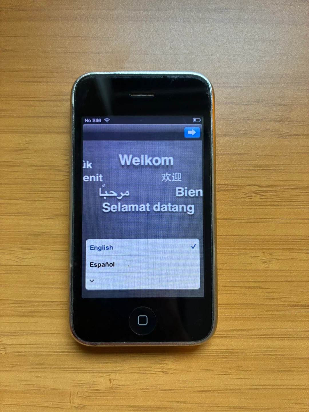 Apple iPhone 3GS 16GB White - photo 4