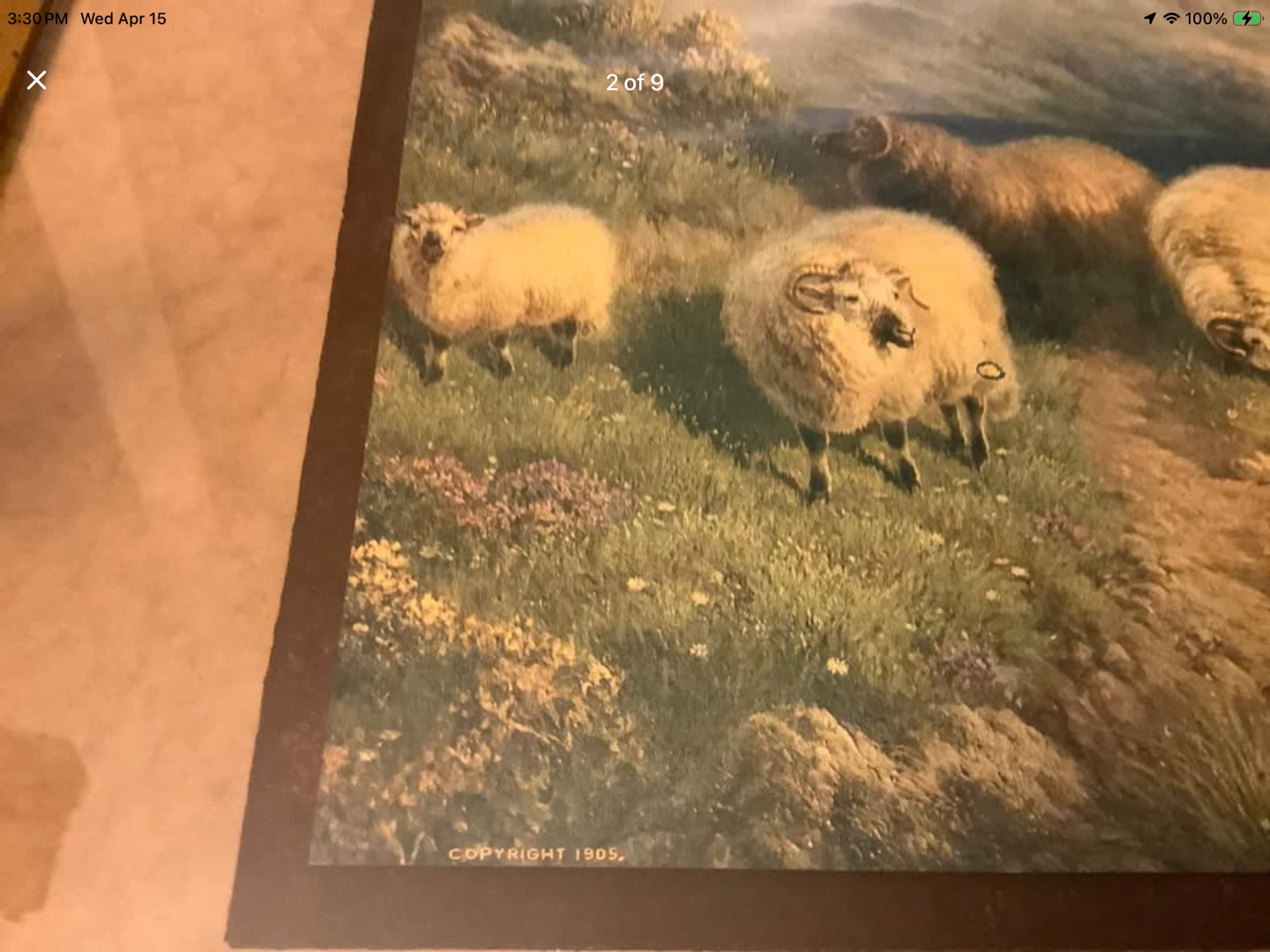 Ant Lithograph “Among the Heather” by Artist J. W. Crane 🐞 - photo 2