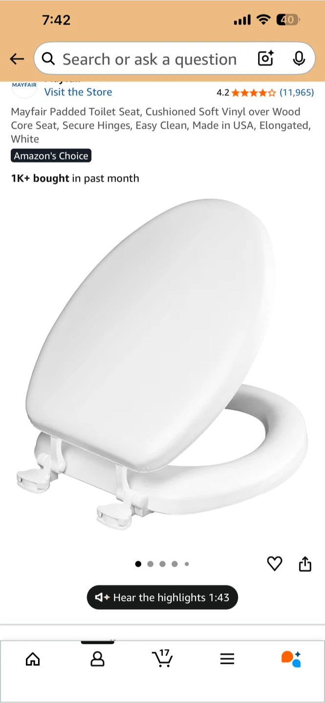 Padded toilet seat