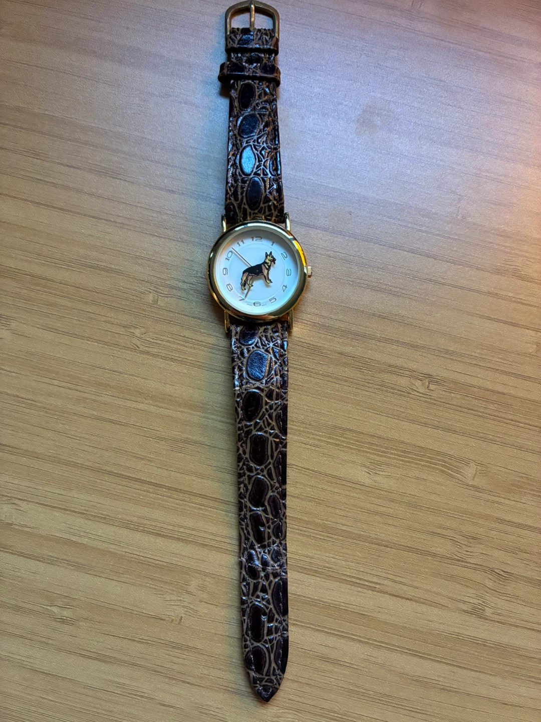 Calling on all German Shepherd Lovers - Dog Watch - photo 2