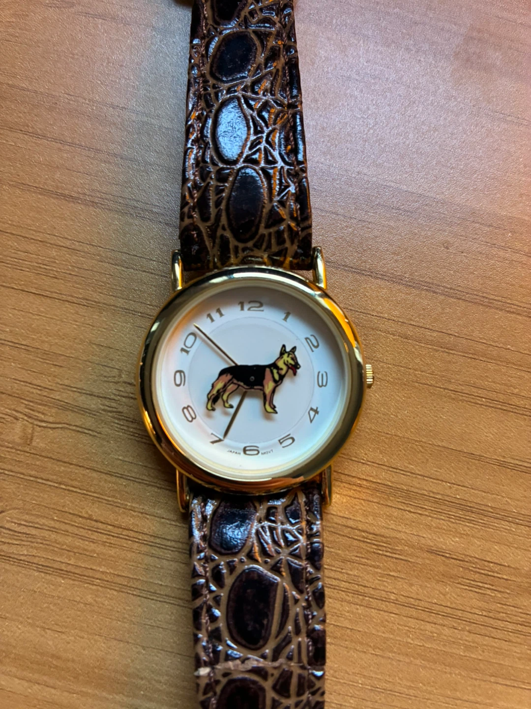 Calling on all German Shepherd Lovers - Dog Watch