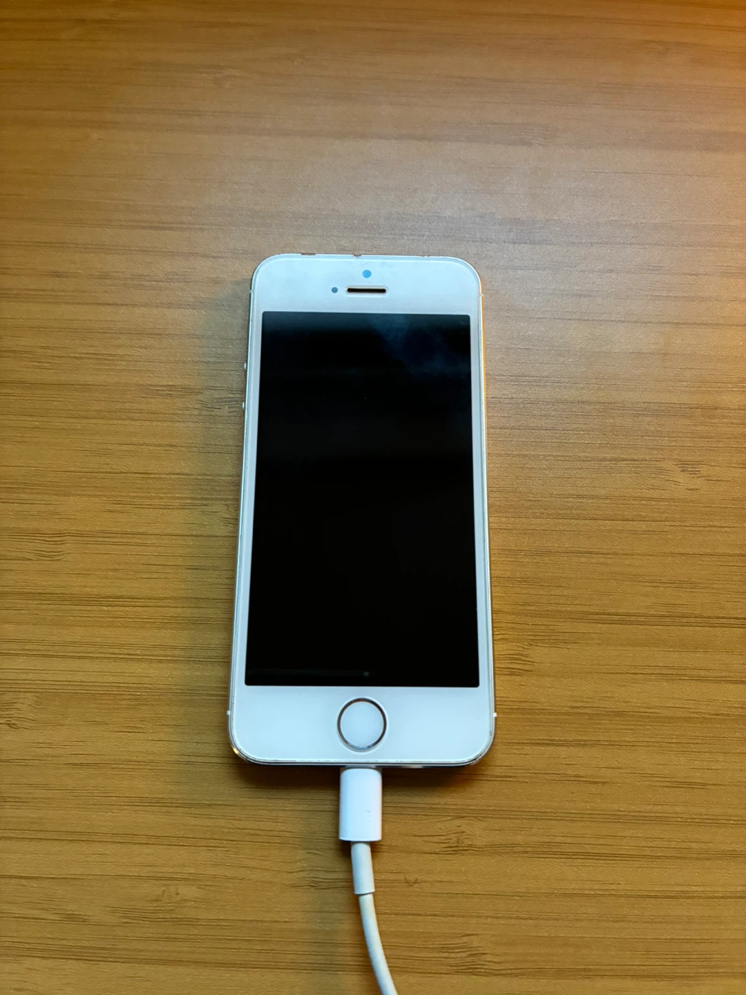 Apple iPhone 5S - Silver - photo 4