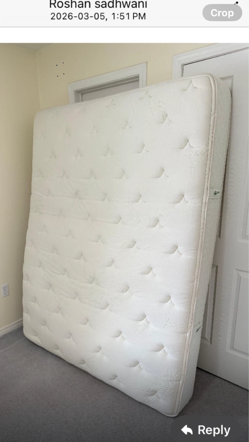 Sealy Mattress
