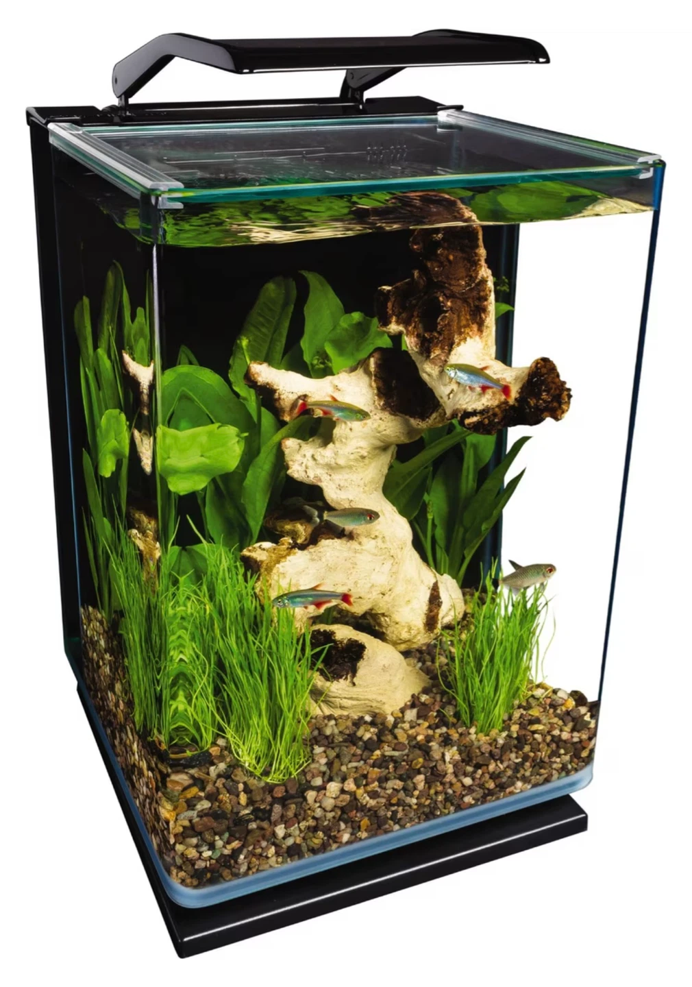 Tetra LED Cube Aquarium Kit - photo 3