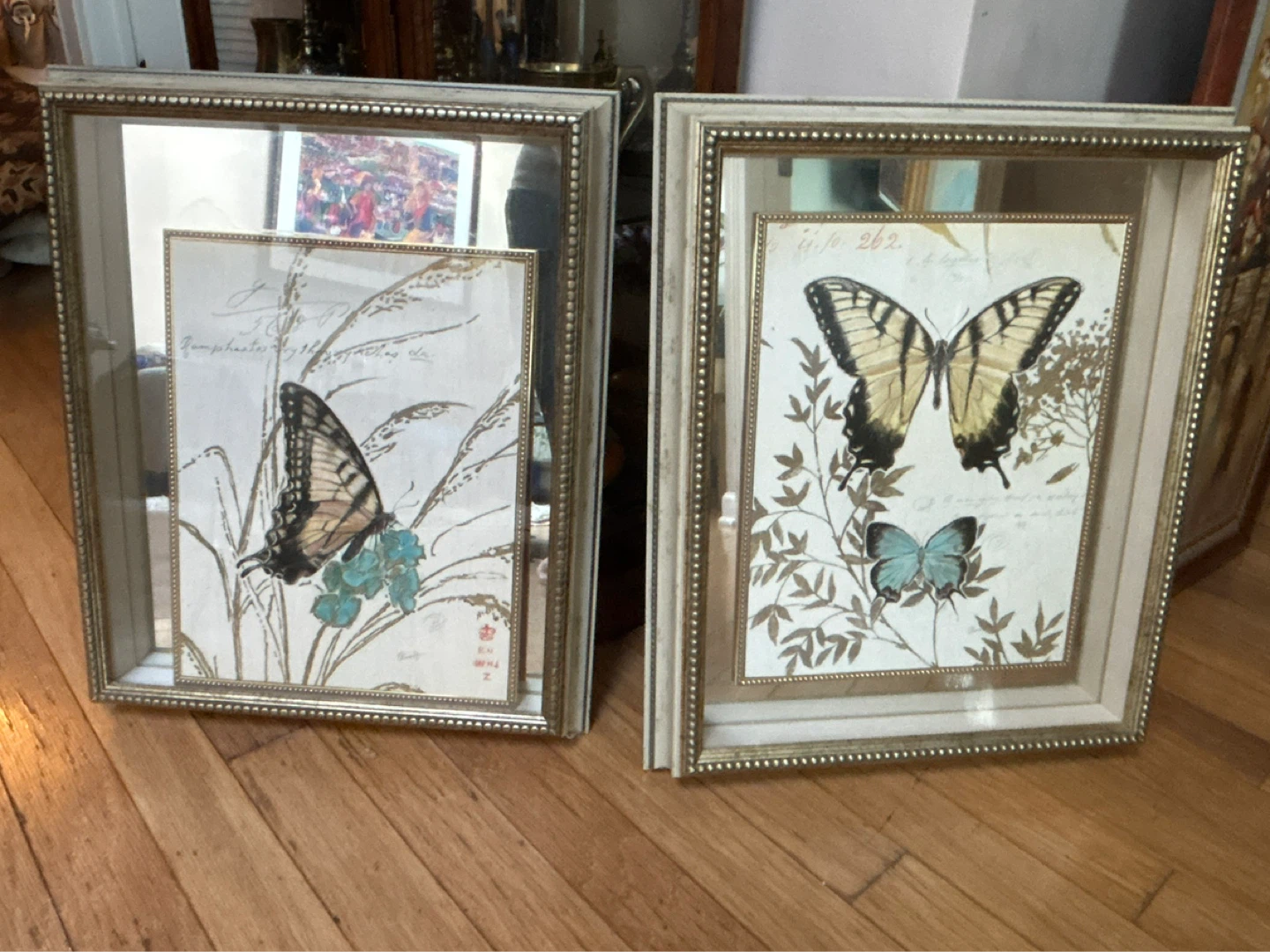 ZG Natures Curiosity VI Butterfly Art Set