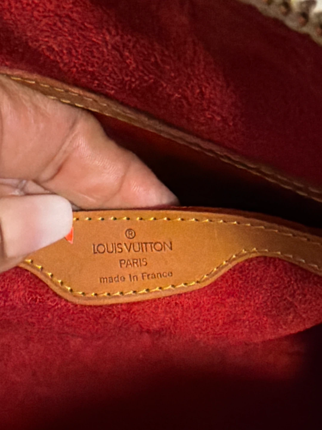 Louis Vuitton Multicolor Speedy Bag - photo 3