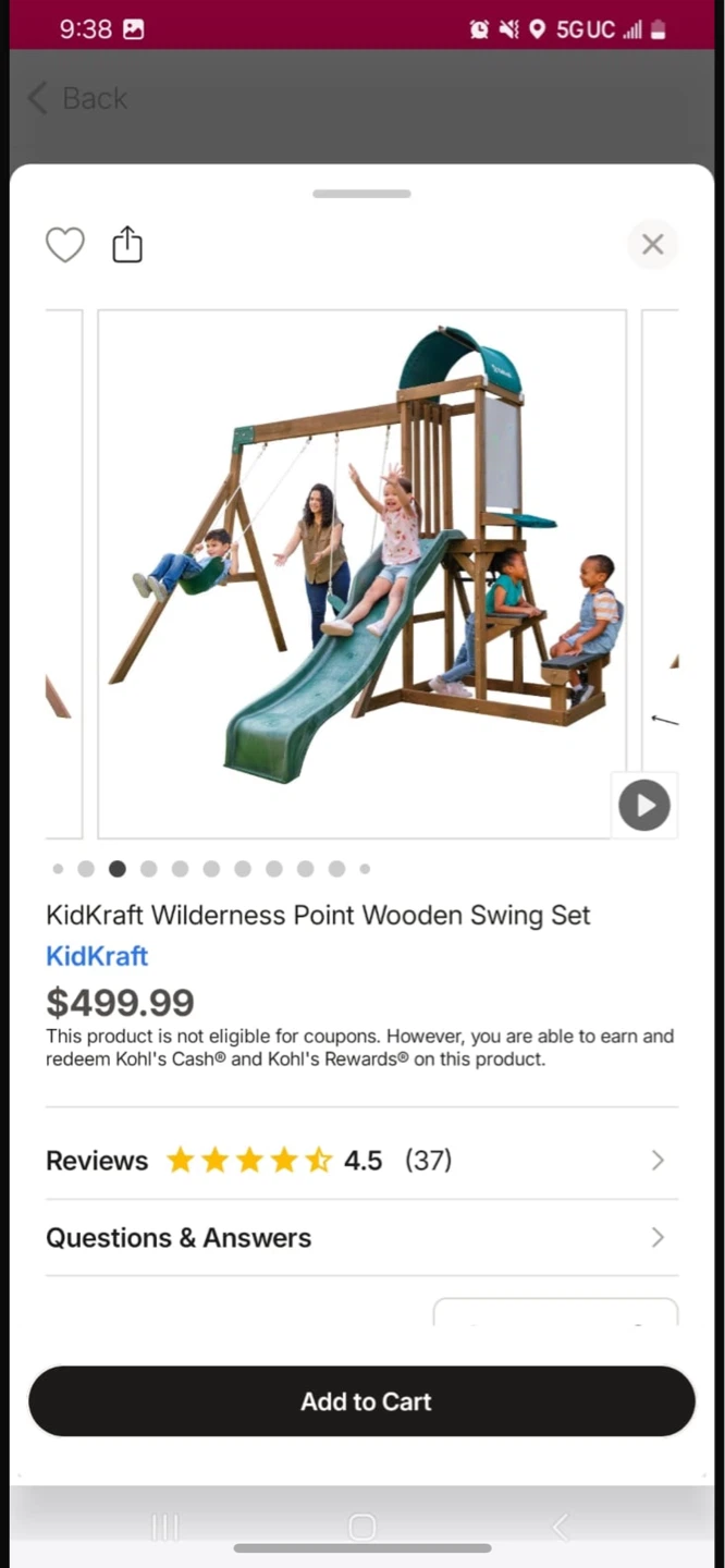 KidKraft Wilderness Point Wooden Swing Set