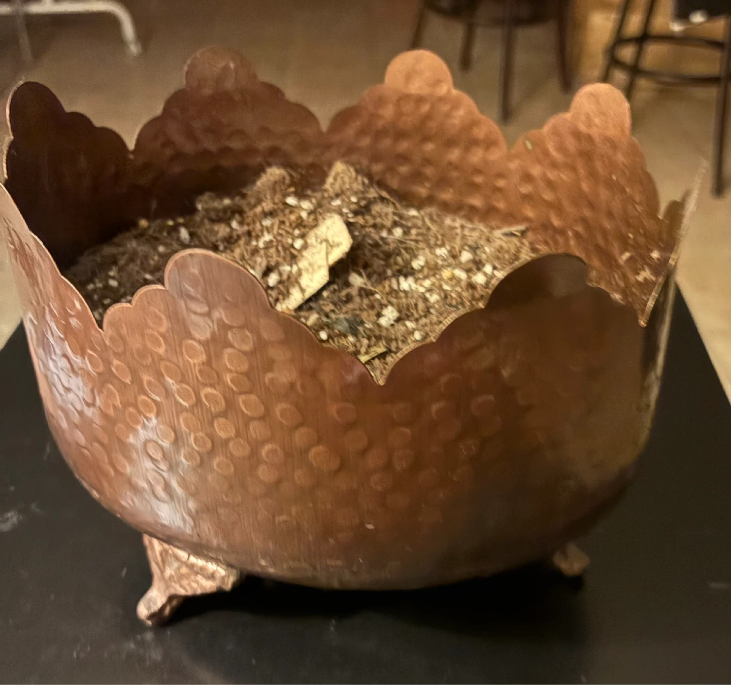 Copper Hammered Pot with Scalloped Rim