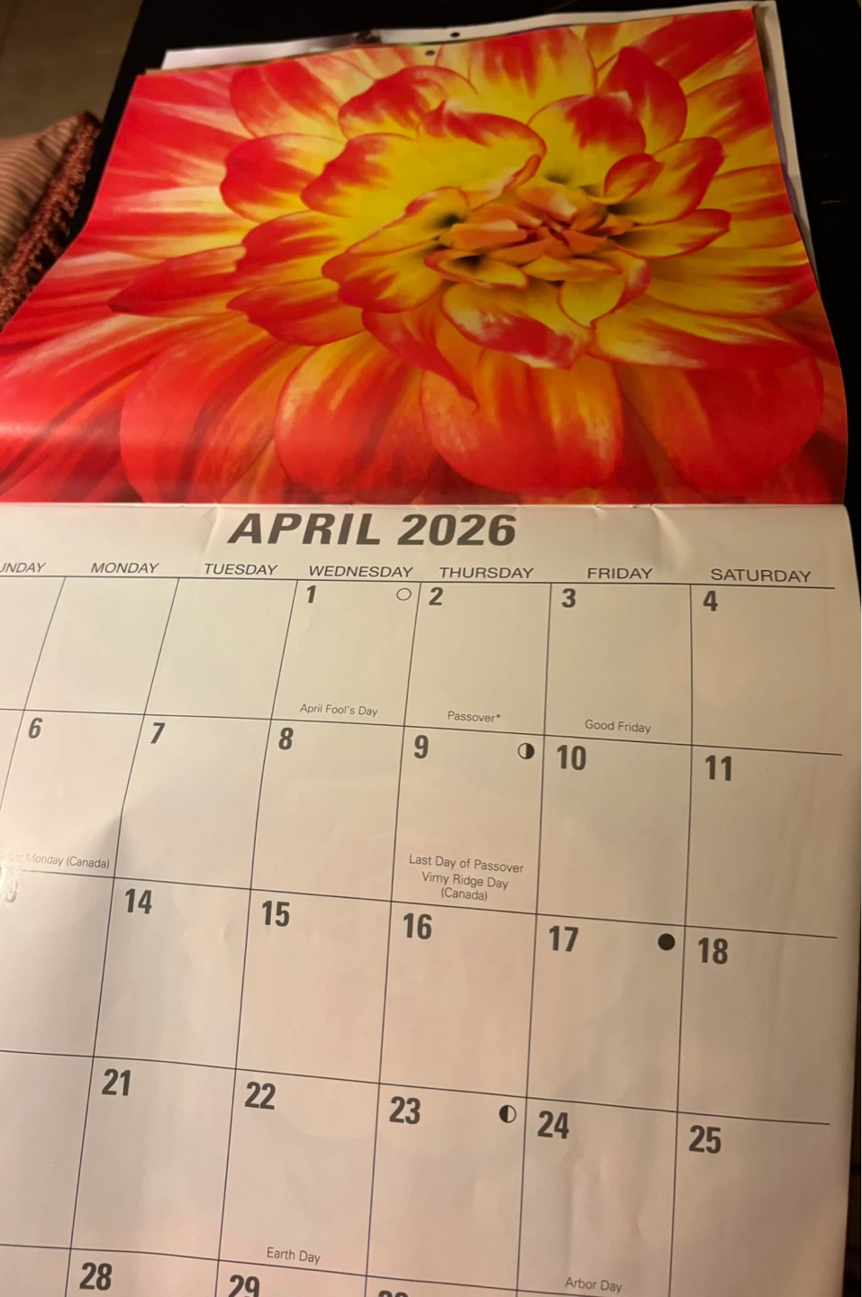Blossoms 2026 12-Month Wall Calendar - photo 2