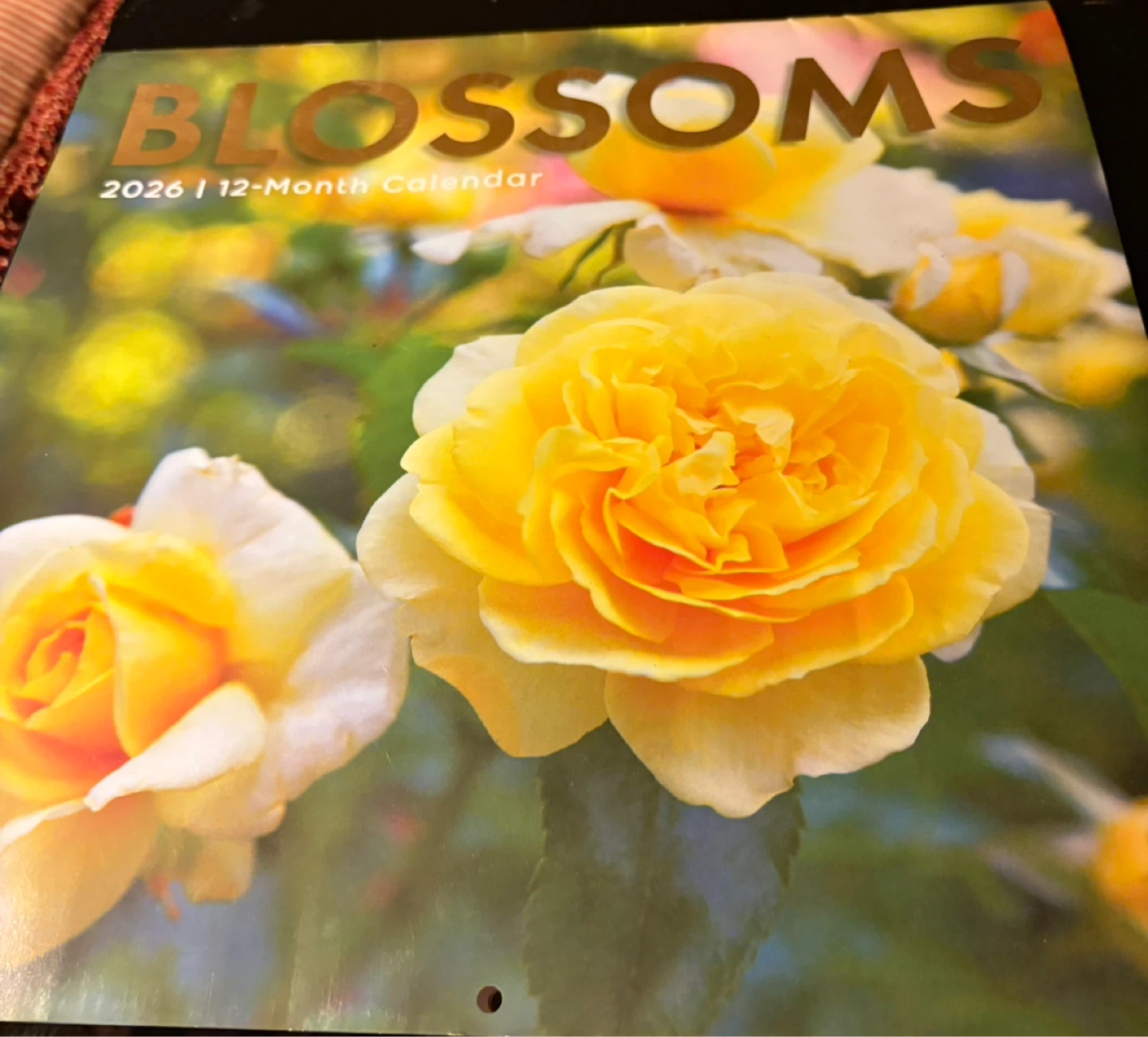 Blossoms 2026 12-Month Wall Calendar