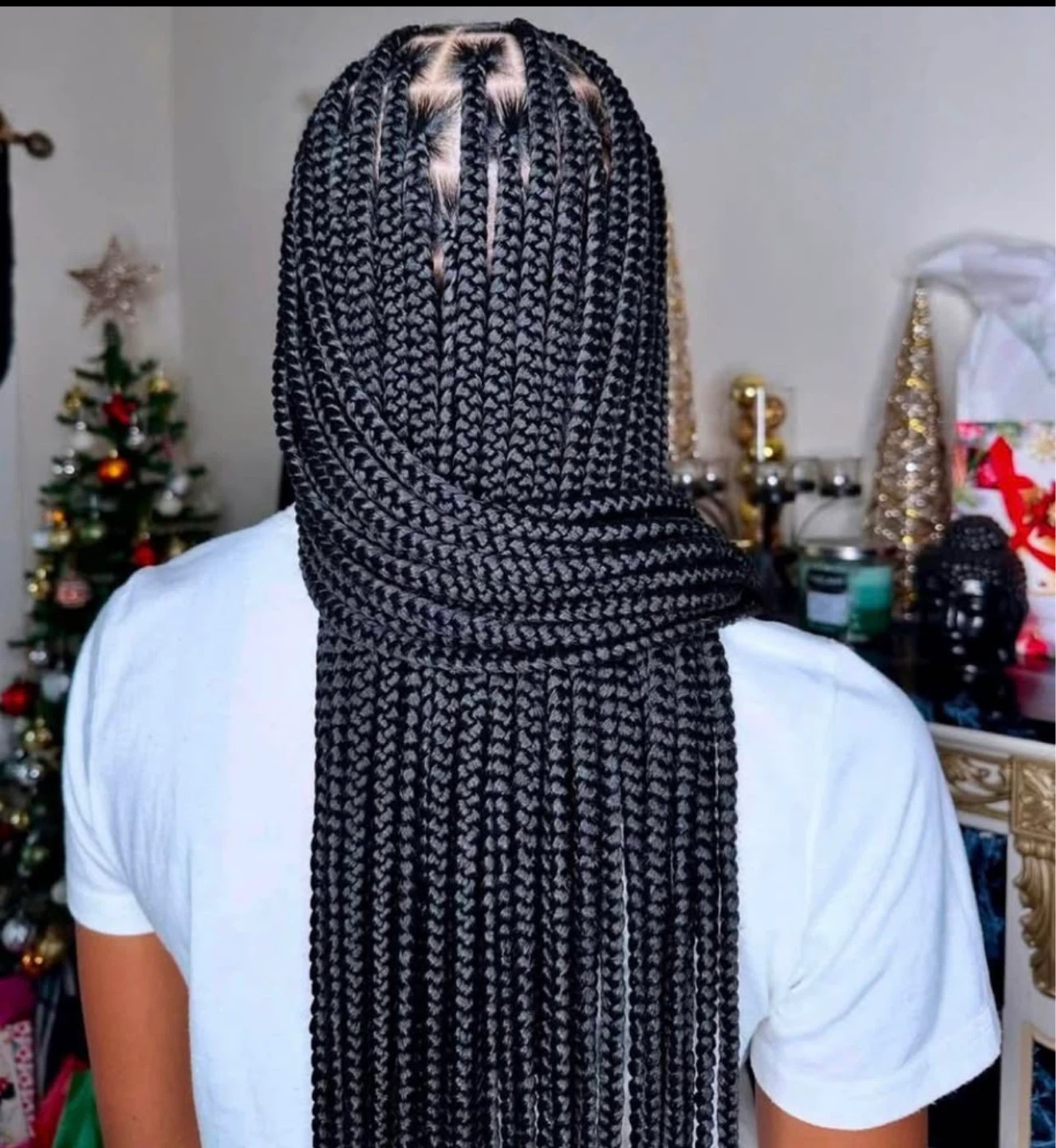Box Braids Hair Extensions - photo 2