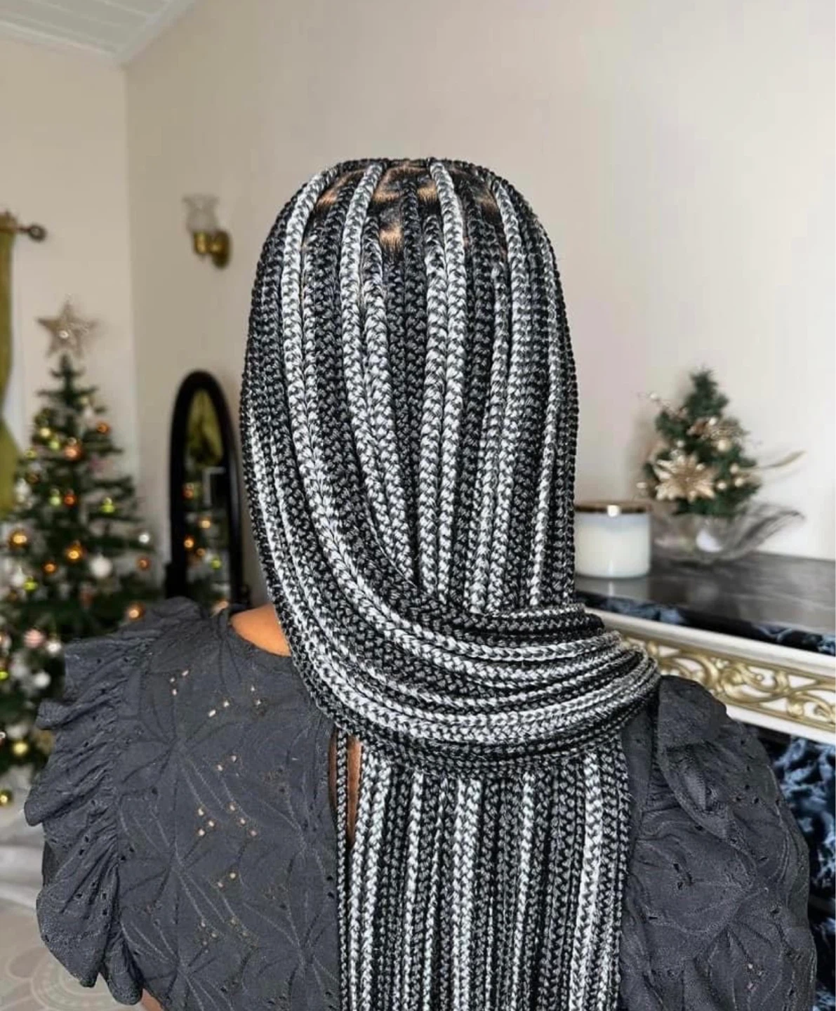 Box Braids Hair Extensions - photo 3