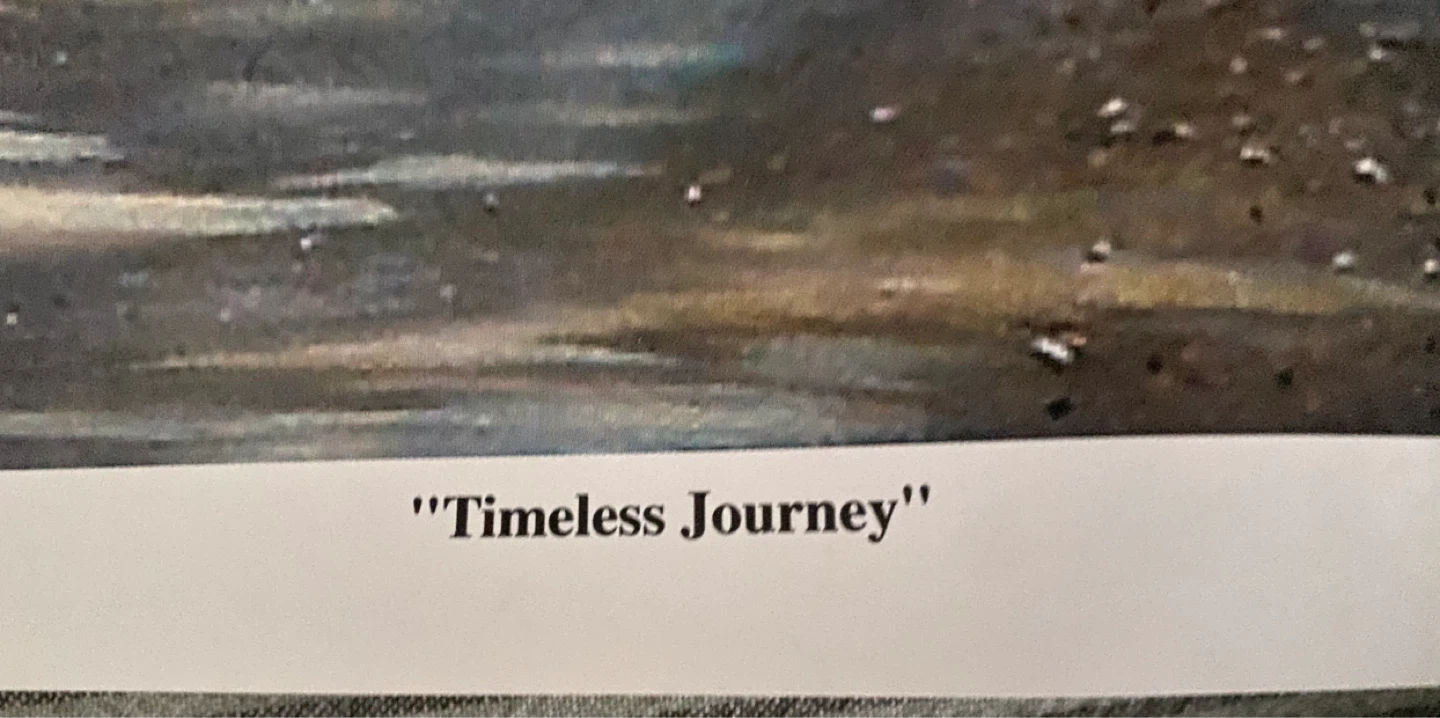 Timeless Journey Art Print by Anil Bridgelal - photo 2