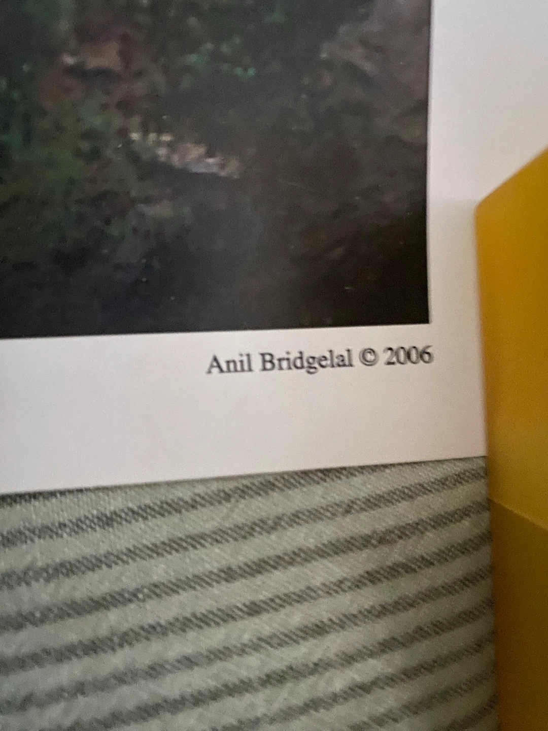 Timeless Journey Art Print by Anil Bridgelal - photo 3