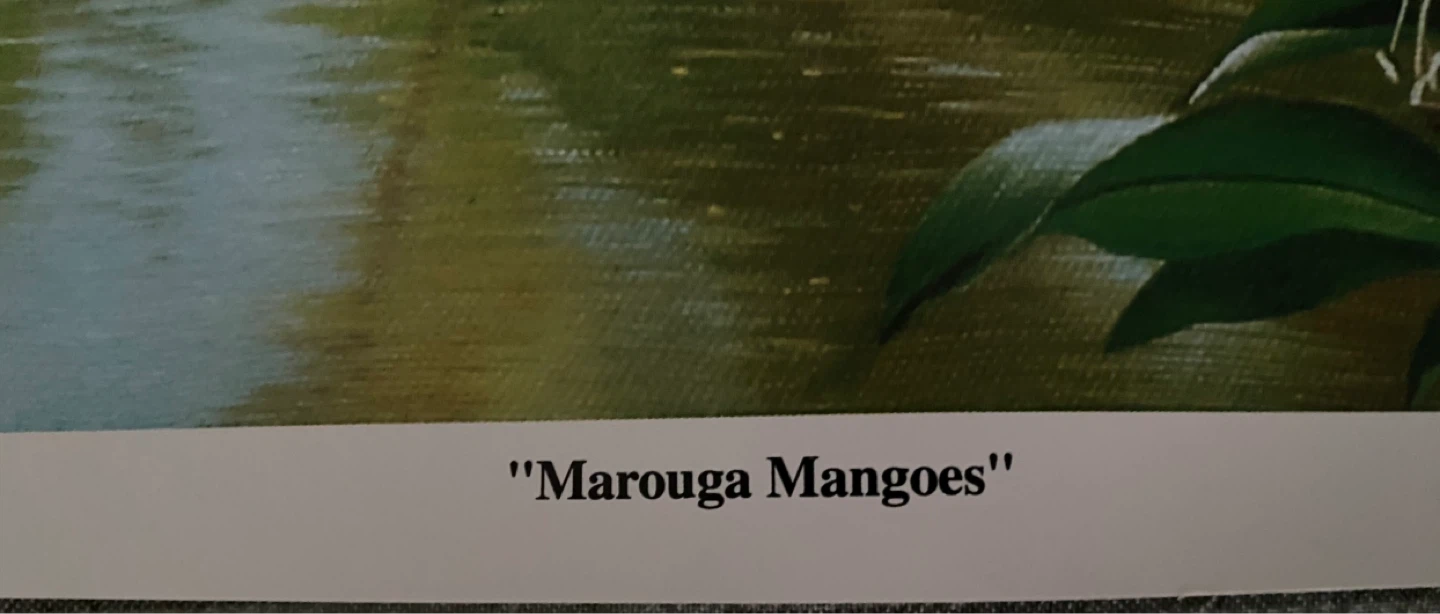 Anil Bridgegal "Marouga Mangoes" Print 2006 - photo 2