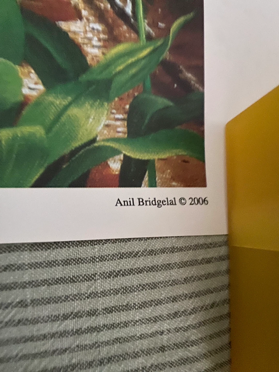 Anil Bridgegal "Marouga Mangoes" Print 2006 - photo 3