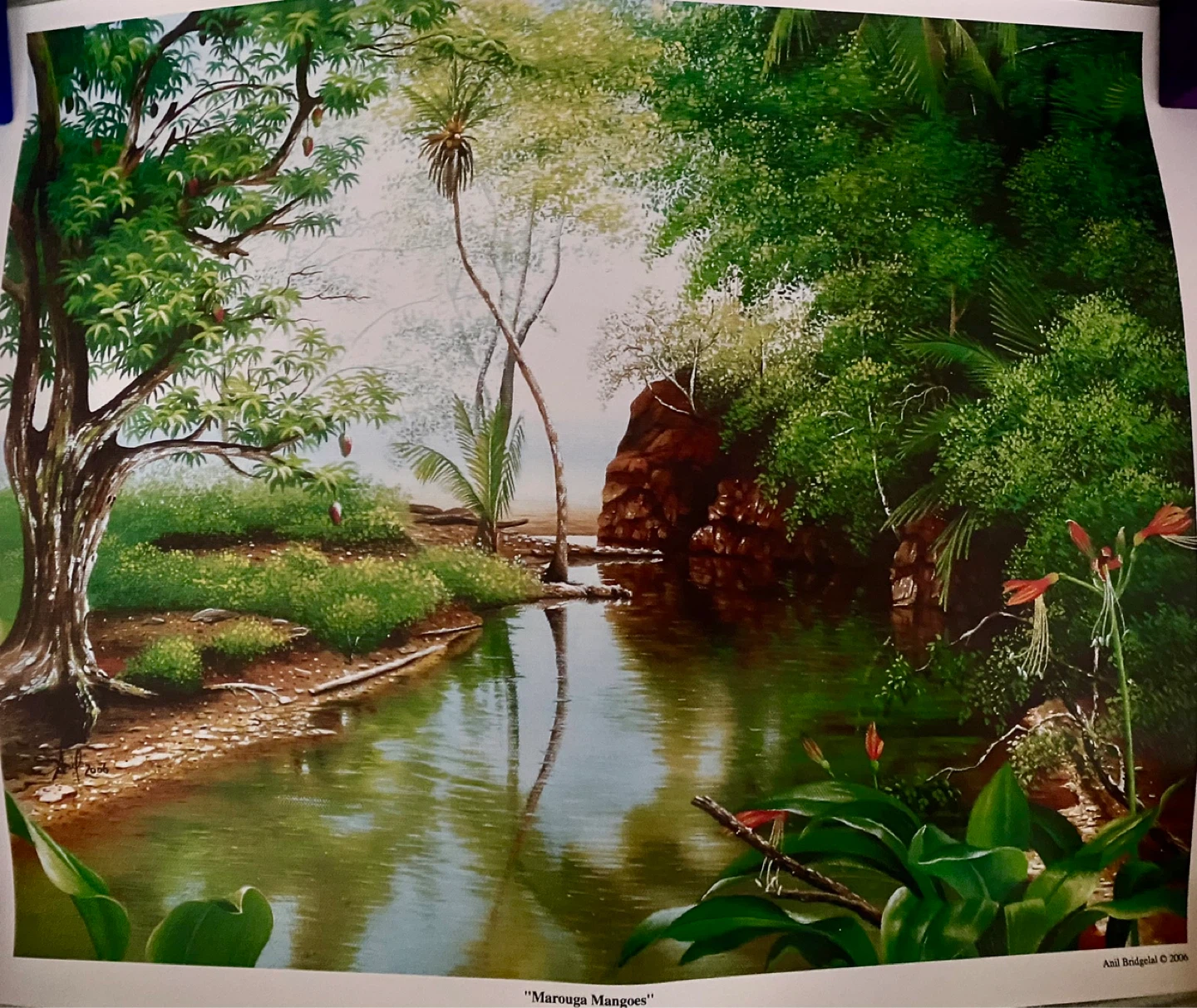 Anil Bridgegal "Marouga Mangoes" Print 2006