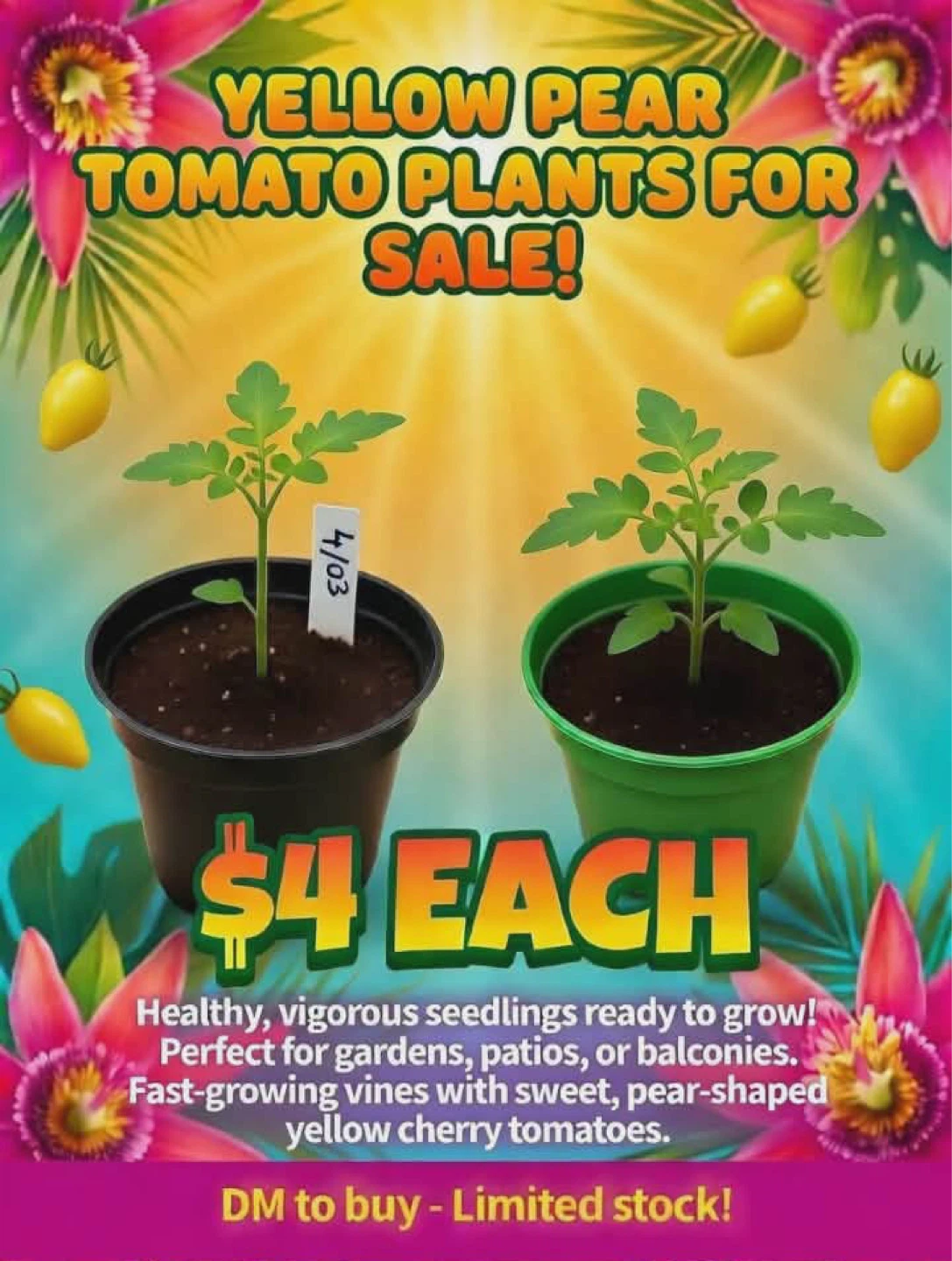 Plants for Sale