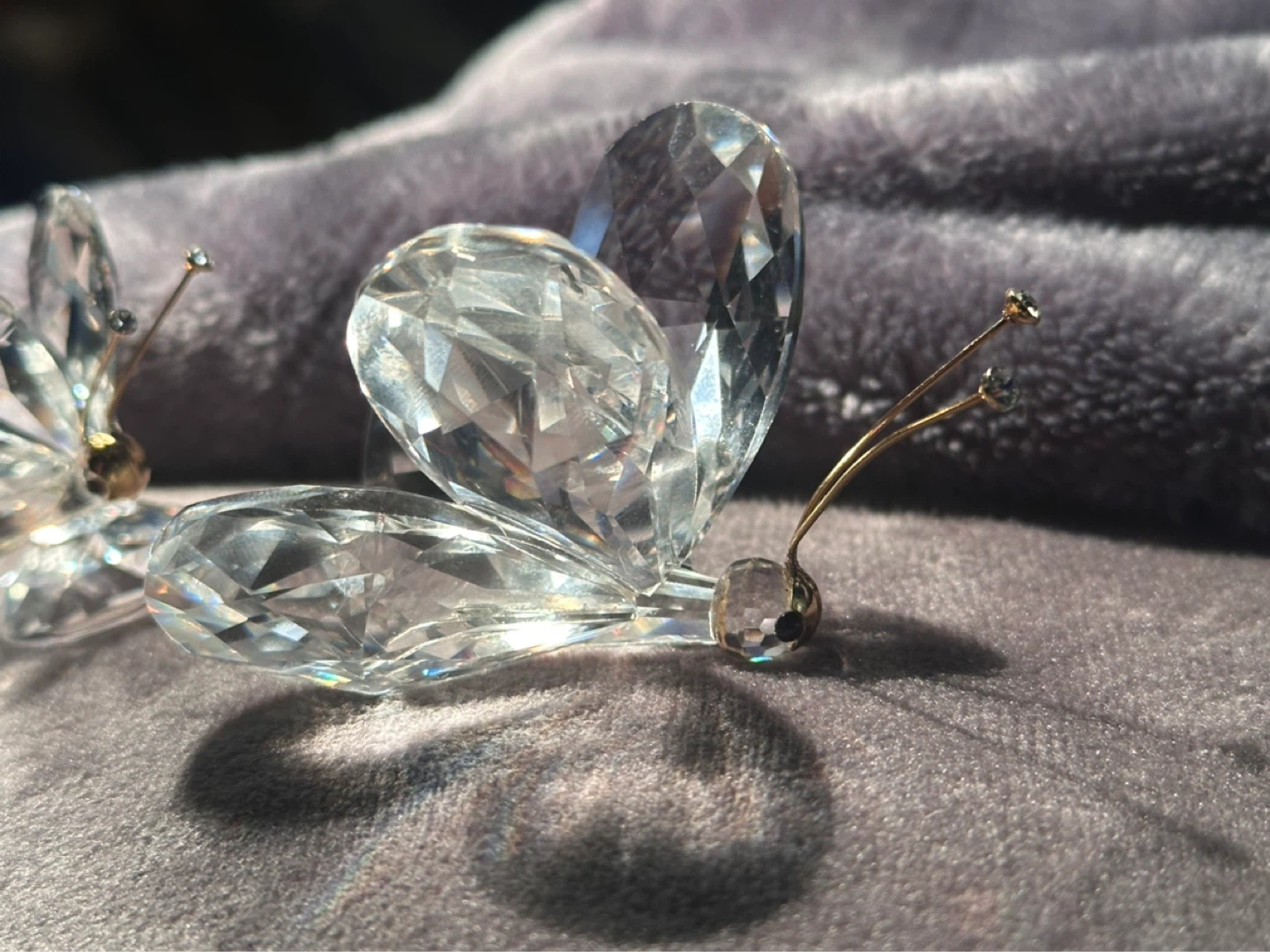 Pair of Swarovski crystal butterflies - photo 2