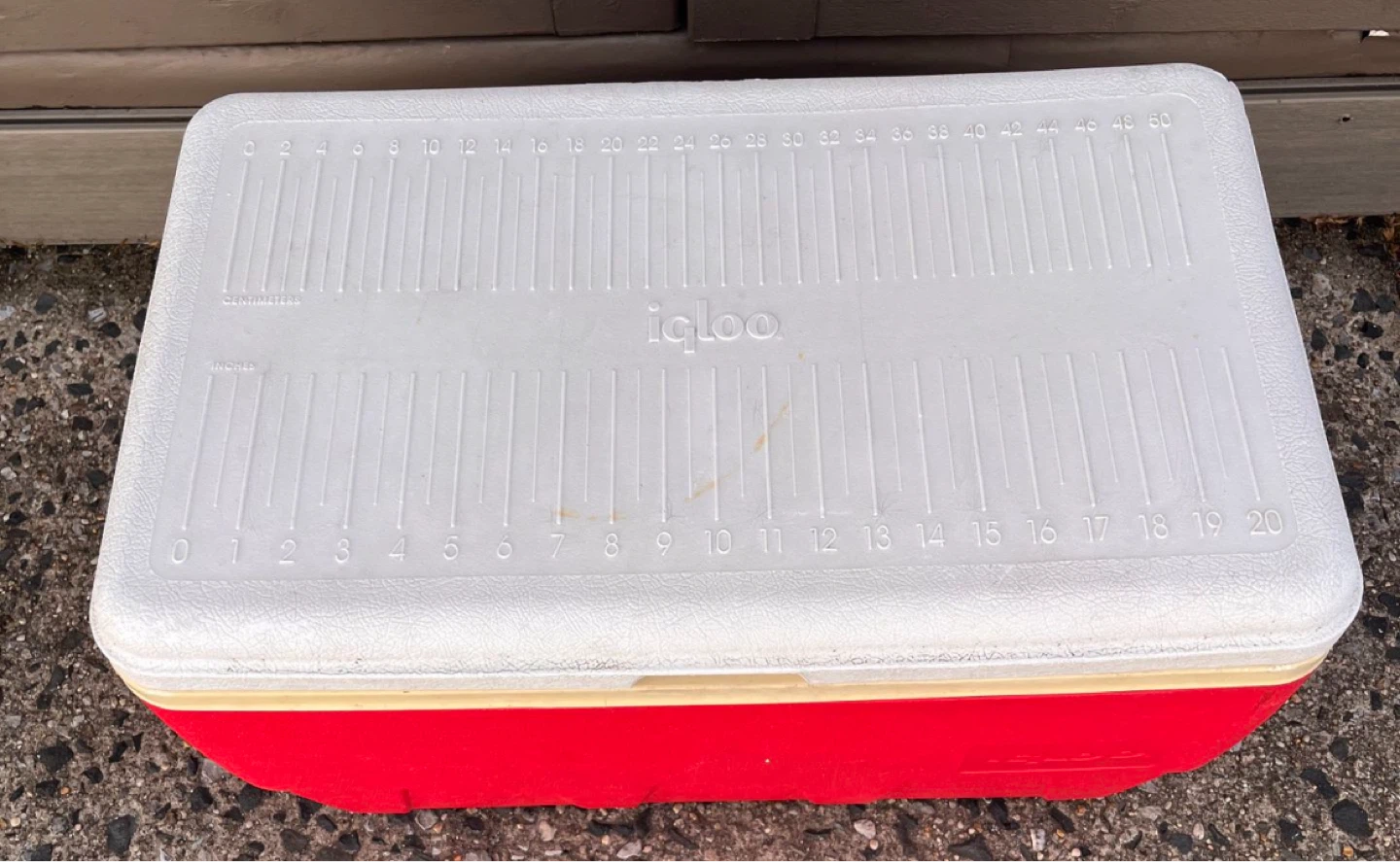 Large Igloo Cooler 20 inch - photo 3