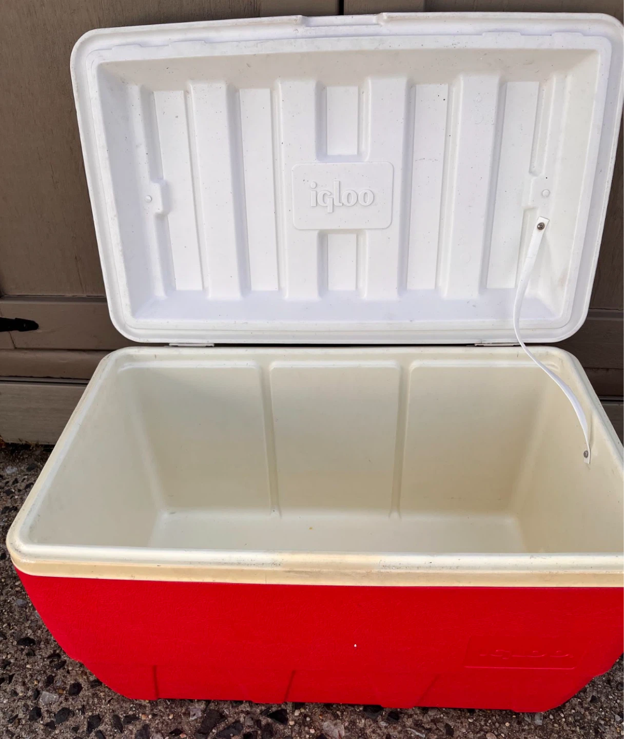 Large Igloo Cooler 20 inch