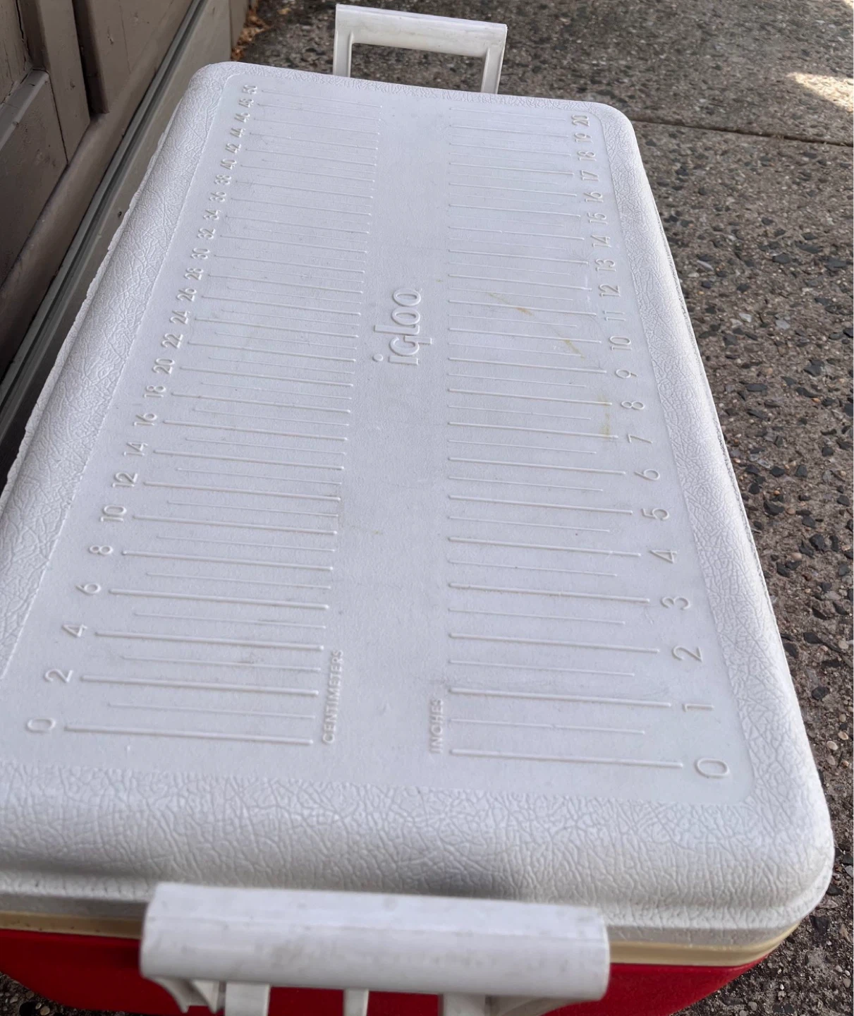 Large Igloo Cooler 20 inch - photo 5