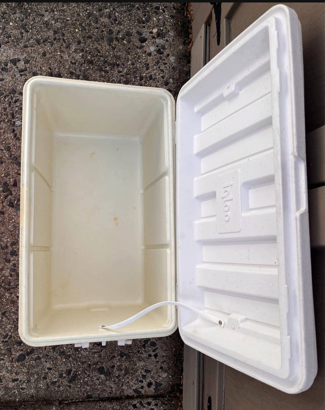 Large Igloo Cooler 20 inch - photo 2