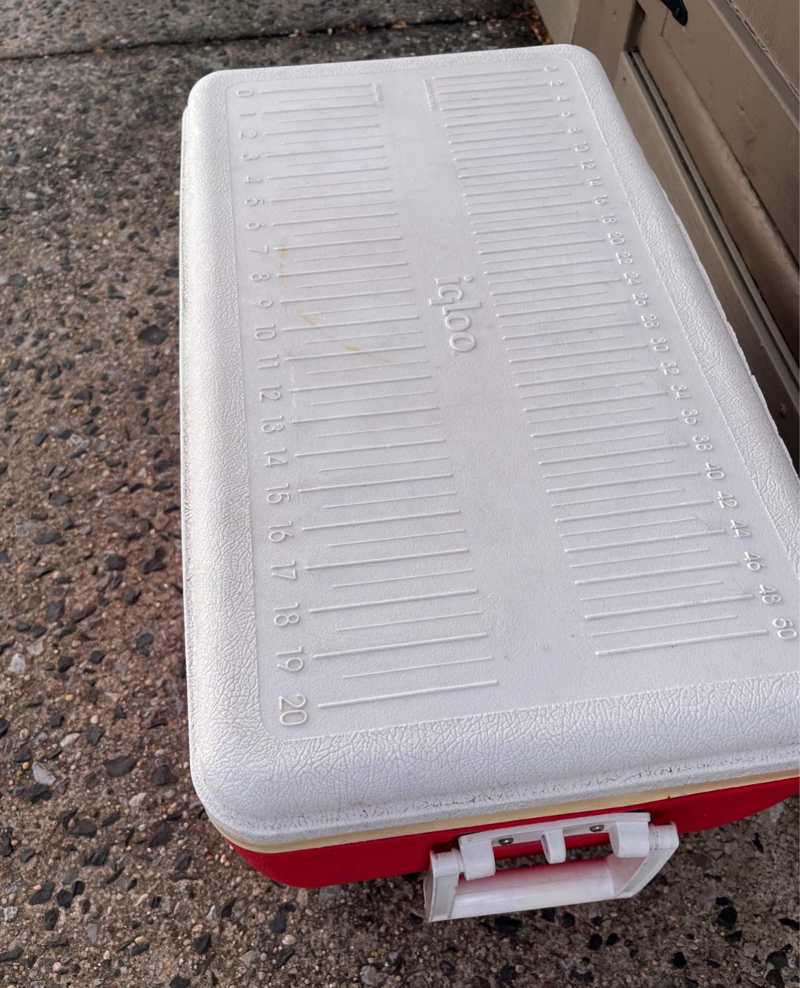 Large Igloo Cooler 20 inch - photo 4