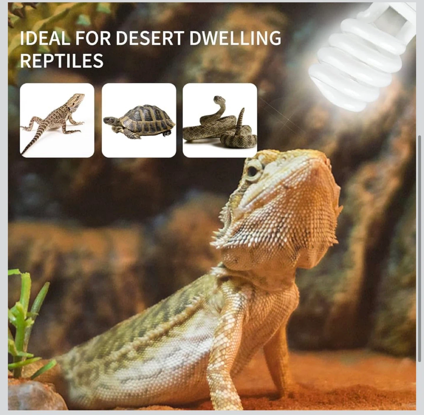 Lucky Herp 26W UVB 10.0 Fluorescent Reptile Lamp - photo 4