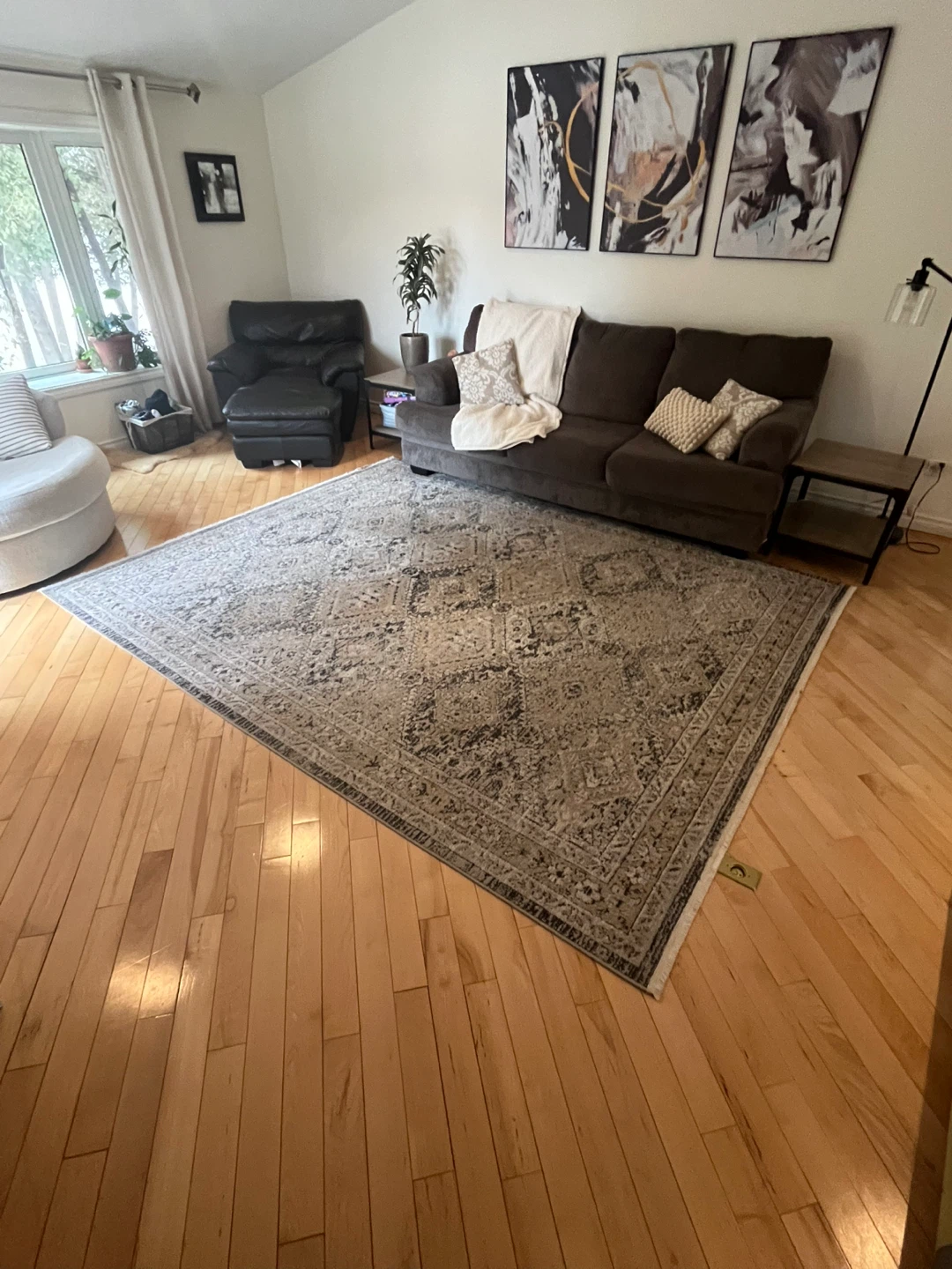 Area Rug
