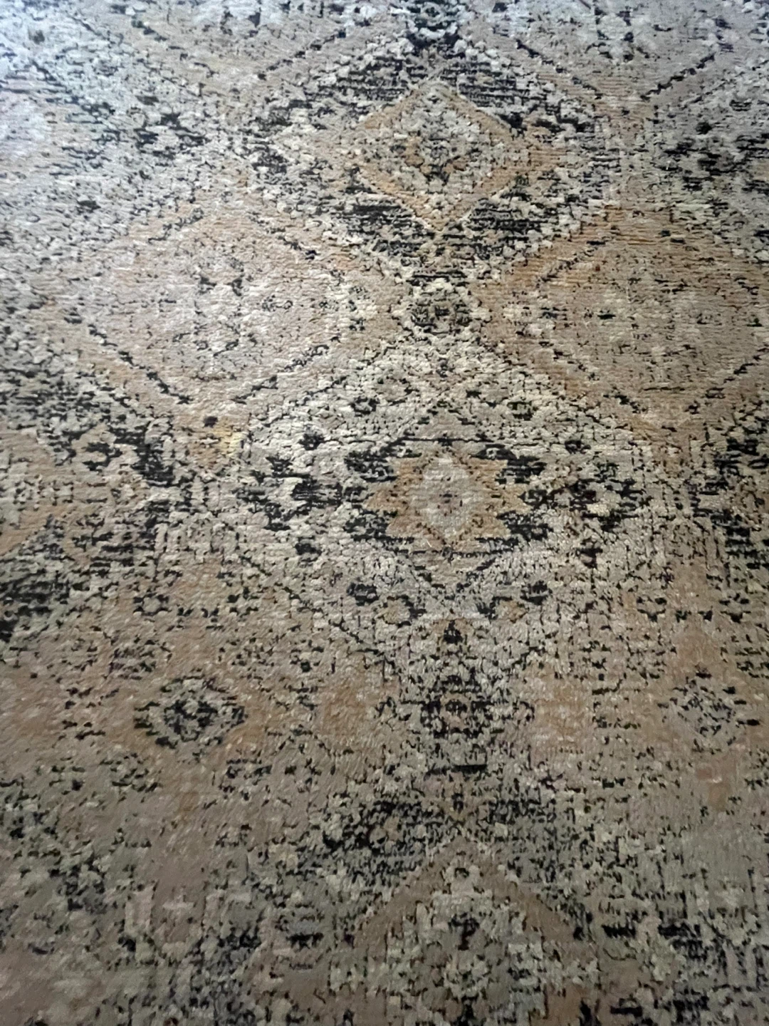Area Rug - photo 4