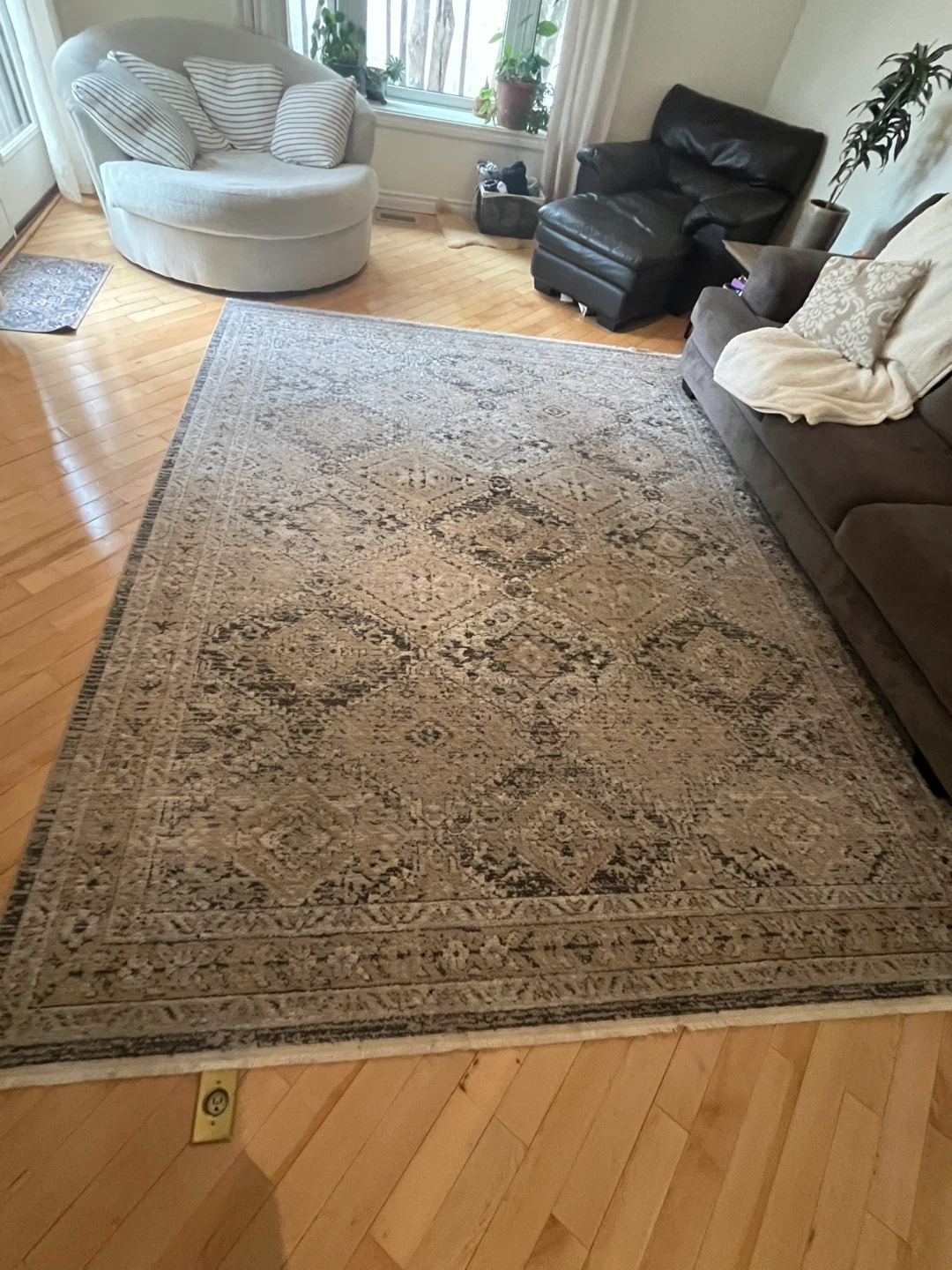 Area Rug - photo 2