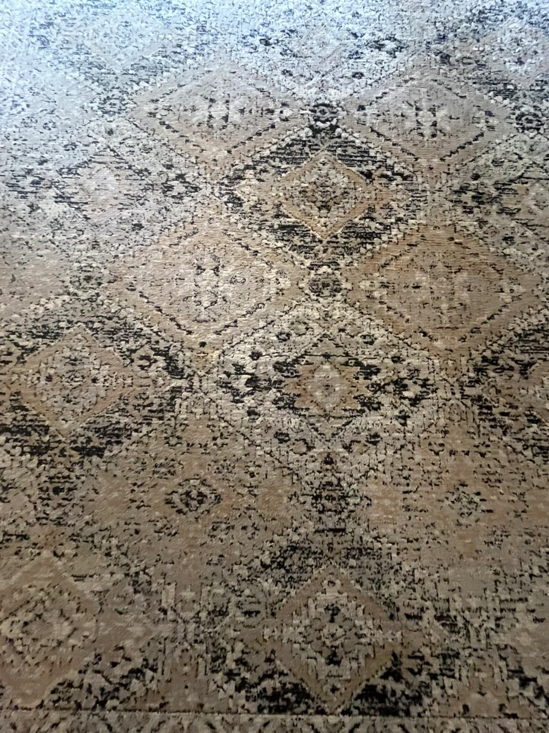 Area Rug - photo 3