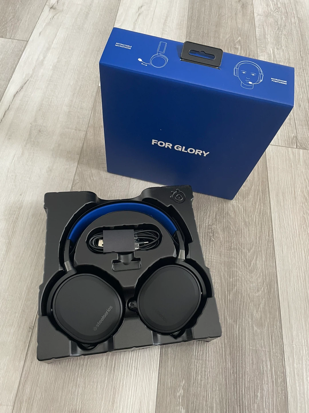 Headphones with Mic