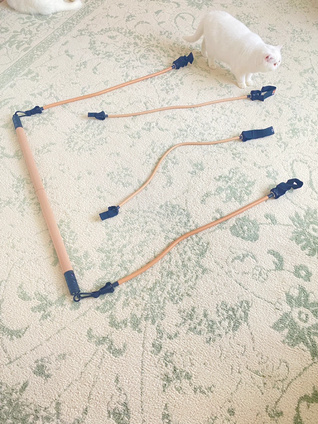 Evoke Resistance Band Exercise pilates Bar Set